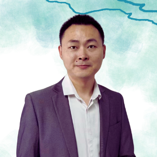 Developer
